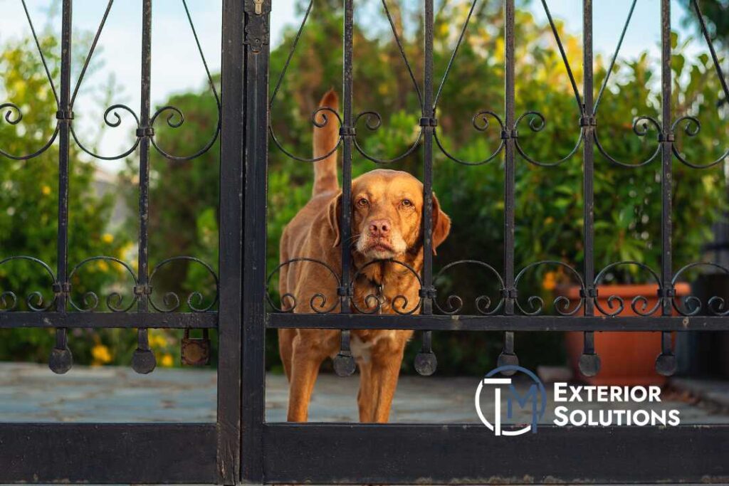 How To Design A Pet-Friendly Fence